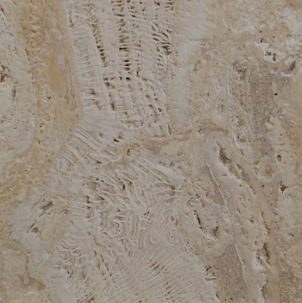 Golden Coralstone · Heavy brushed