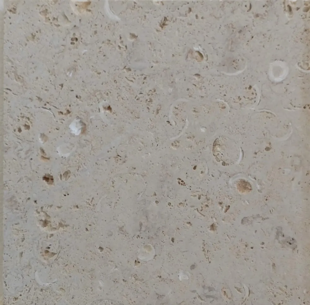 White shell stone, saw-cut finish